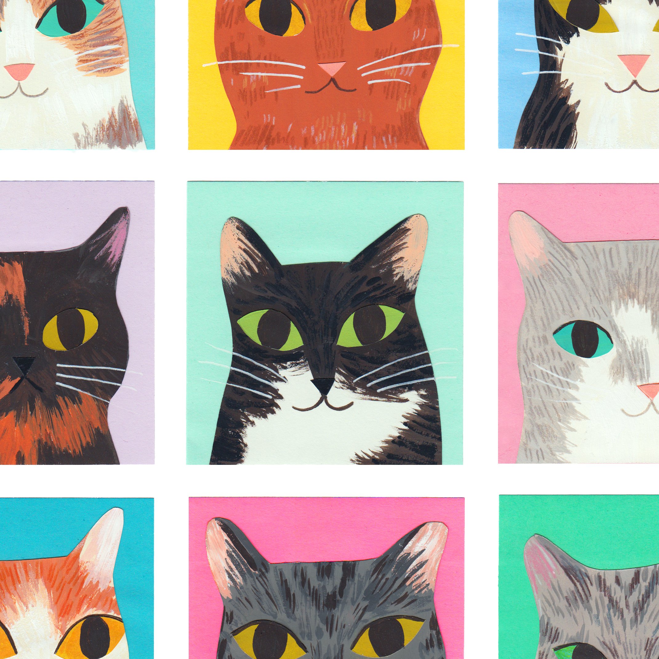 Shelter Cats
