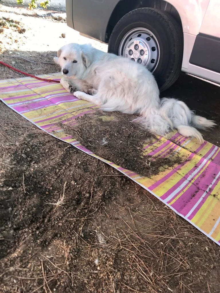 La plage de Saint Maxime