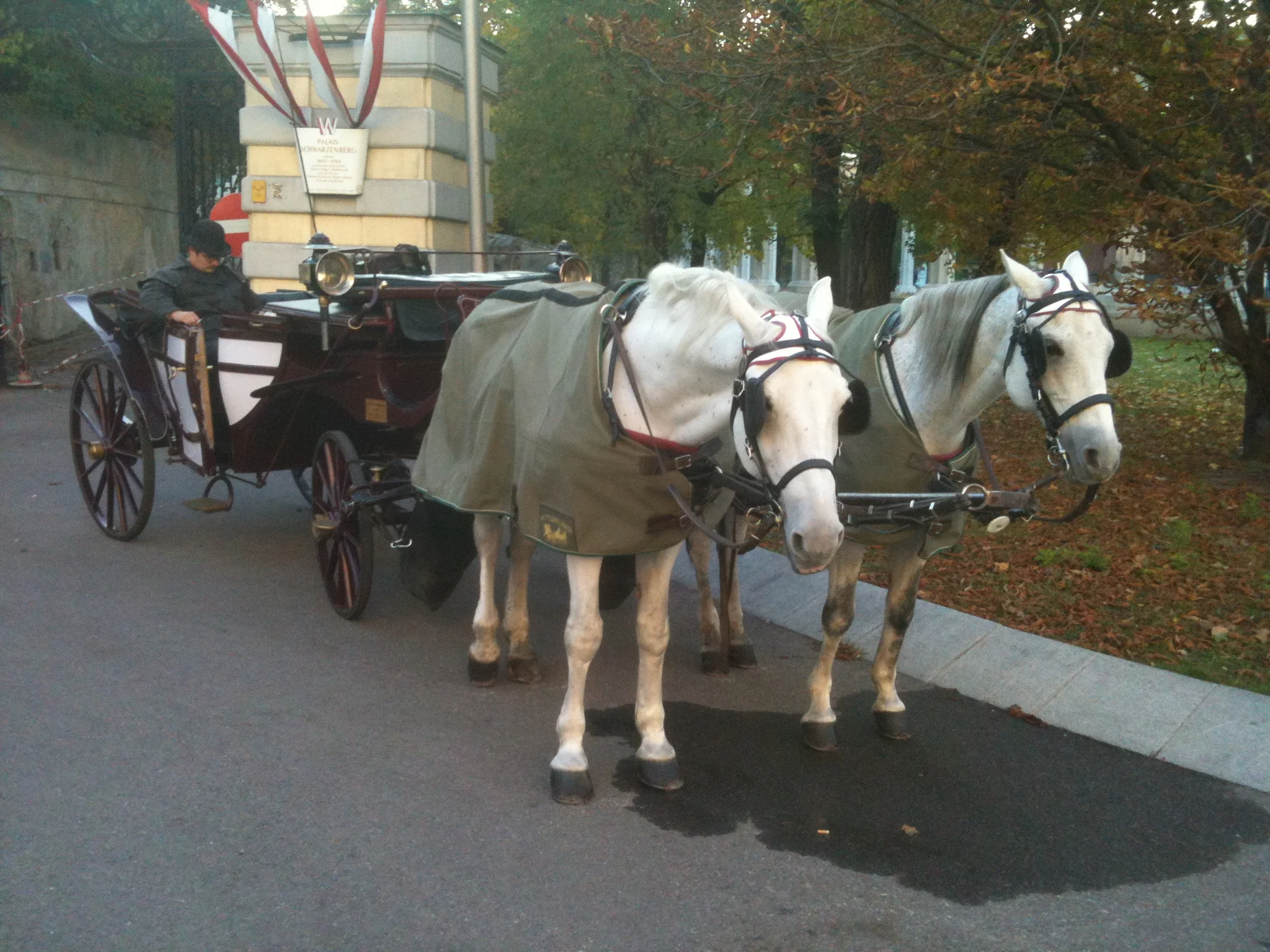 Vienna, April 2006 - Part III