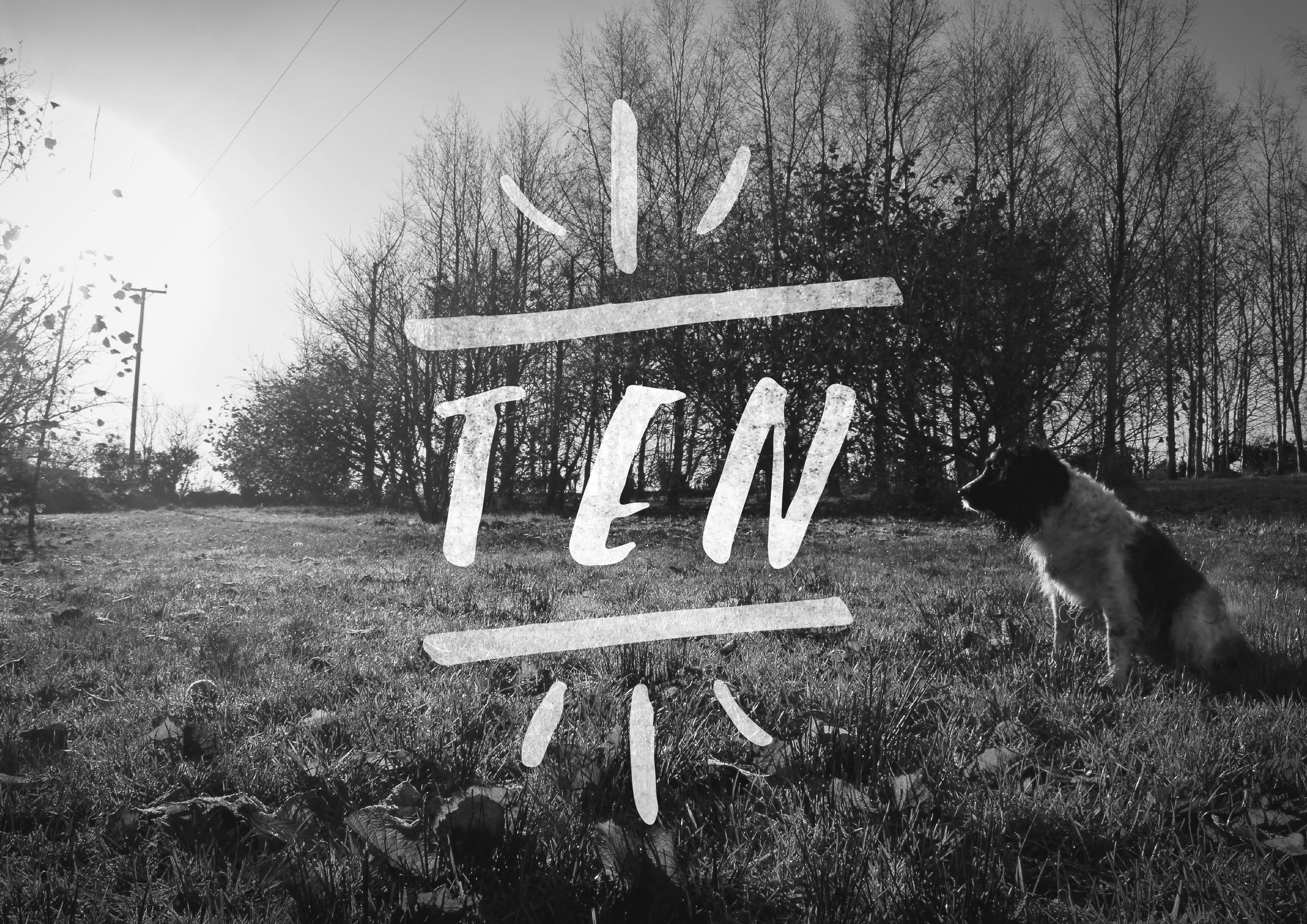 TEN.3-01.jpeg
