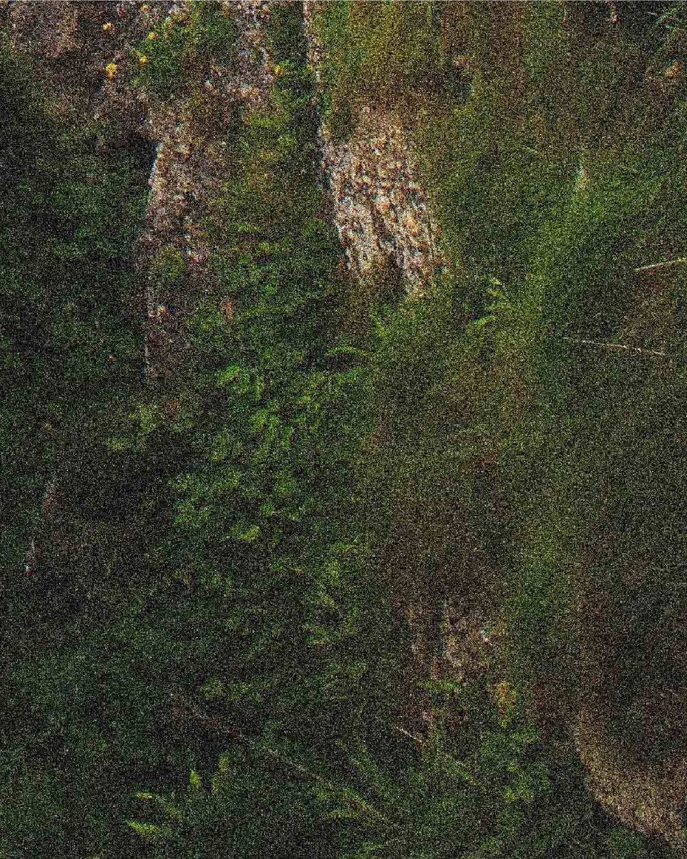 observationszooms_002-02-1.jpg