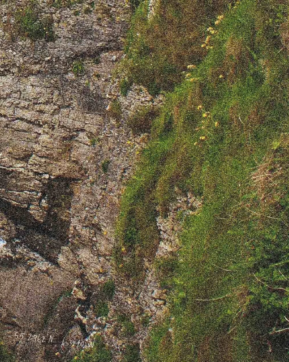 observationszooms_002-06-1.jpg
