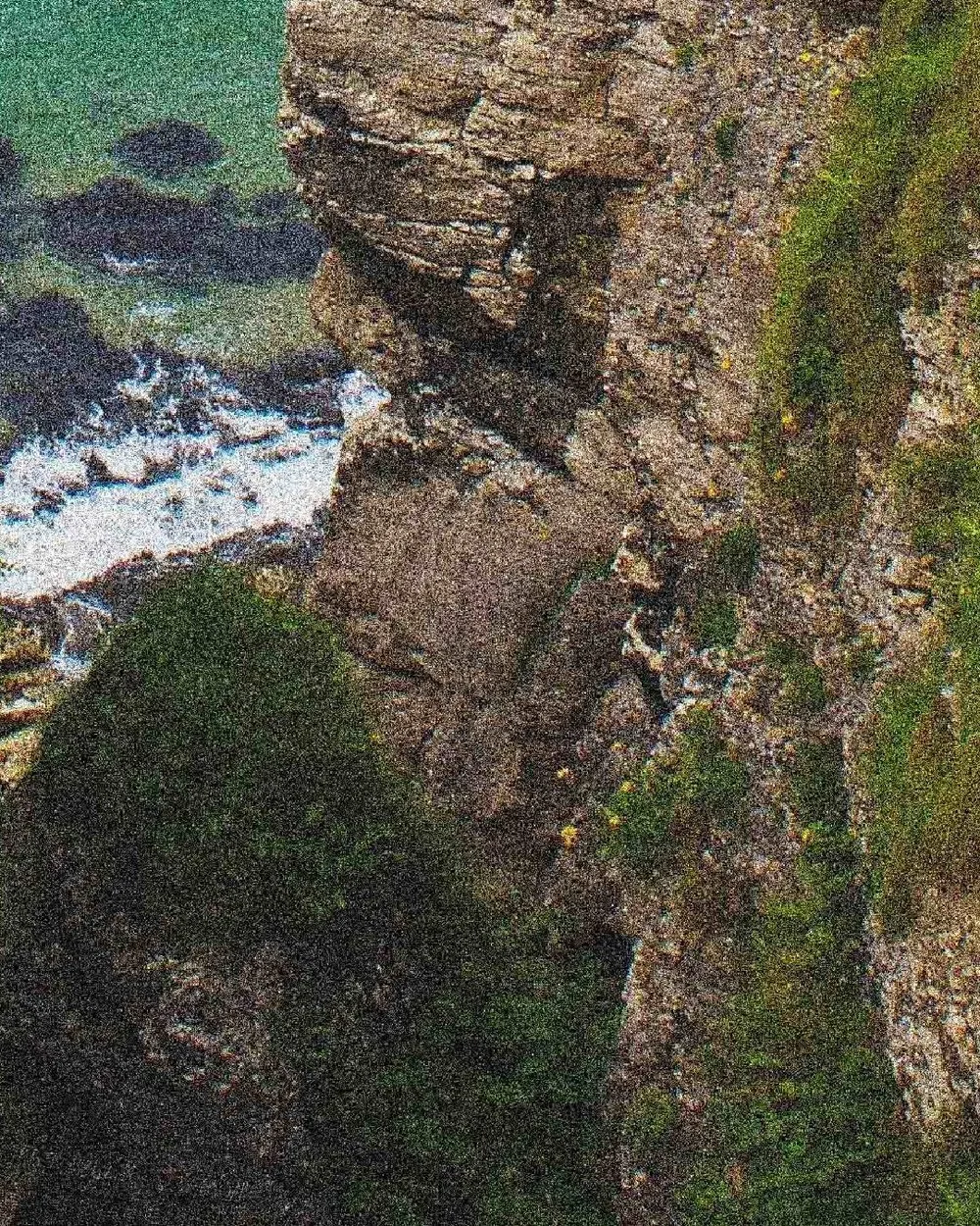 observationszooms_002-07.jpg