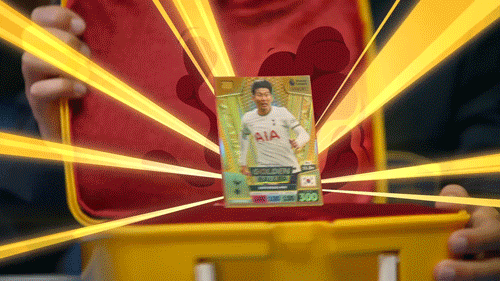 PANINI-LBK2.gif