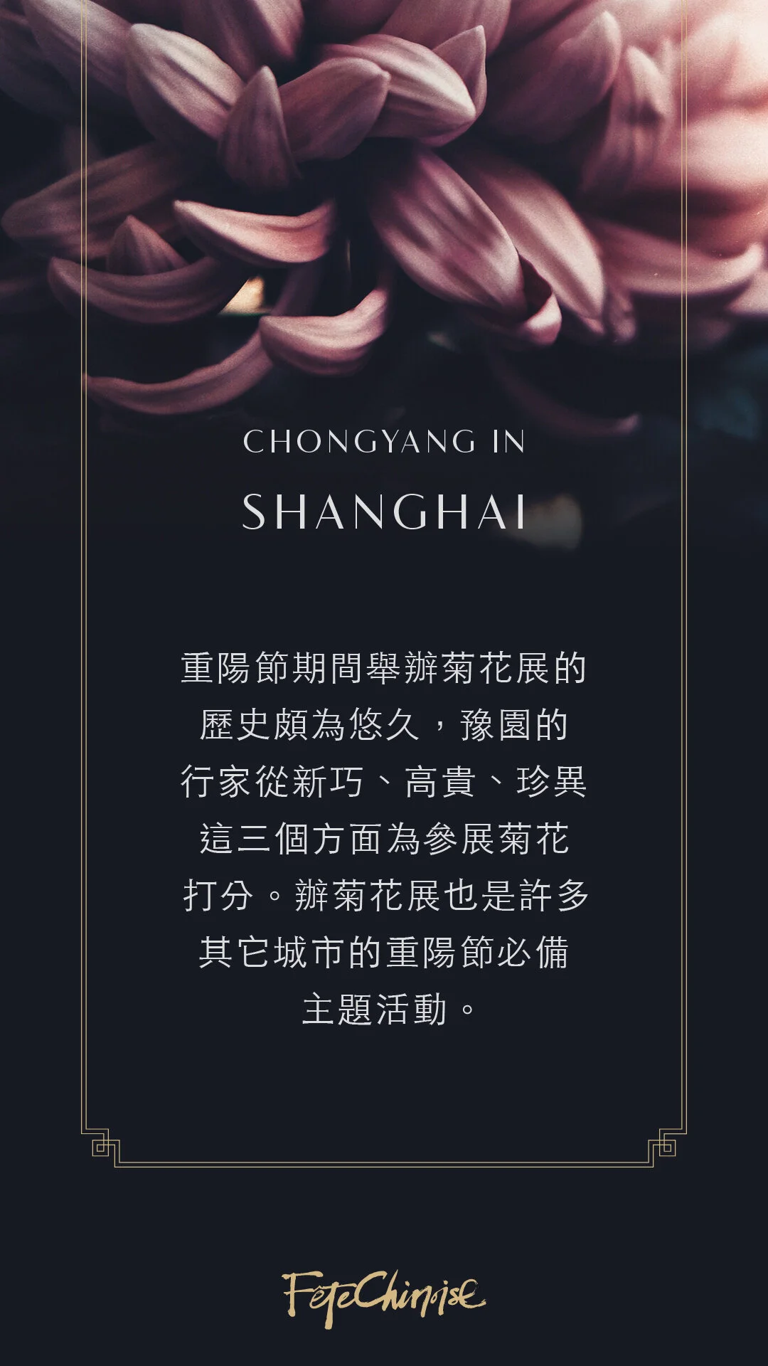 chongyang4.jpg