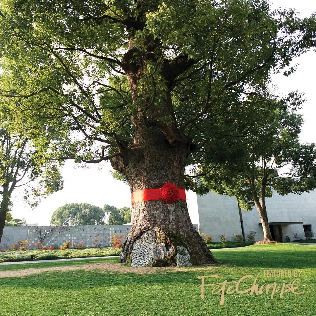 Stand at the Feet of History: Meet Me at the King Tree 與千年香樟樹王結緣:穿越時空的上海養雲安縵酒店體驗