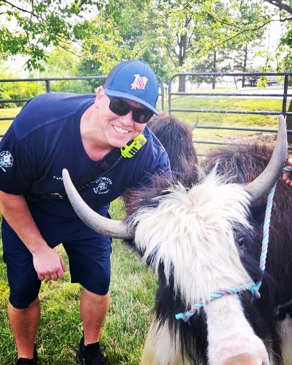 Yesterday, the Pattonville Fire District Headquarters property was transformed into a temporary pasture and petting zoo. A family traveling with their yaks became stranded on their journey and set up temporary residence on the lawn at PFD World Headq