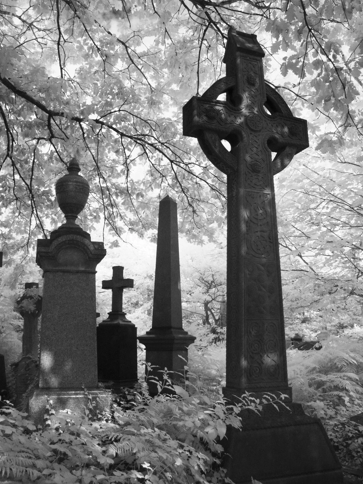 2013 08 11-G9-1360-Abney Park_1.jpg