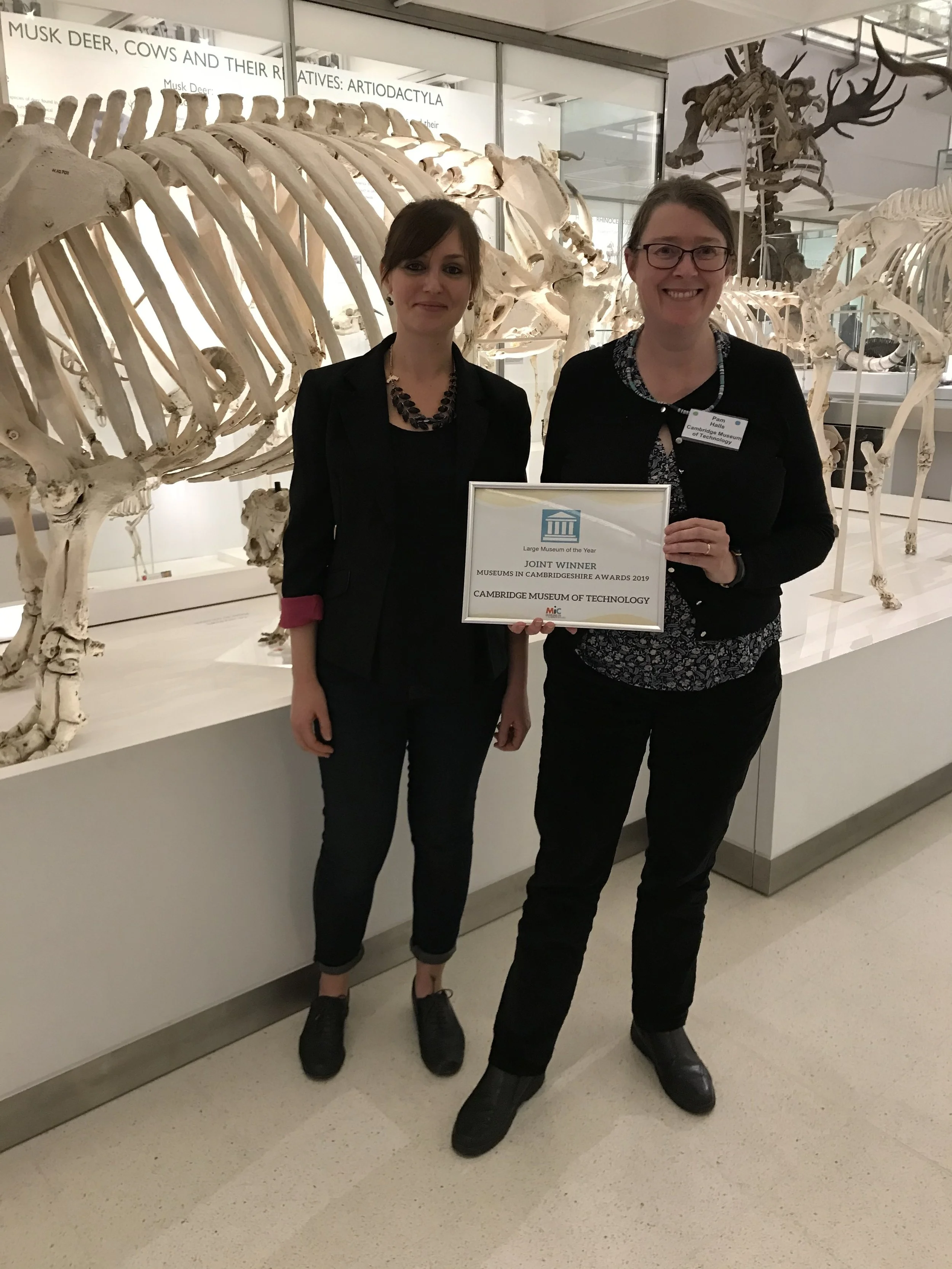 We have been awarded Large Museum of the Year!