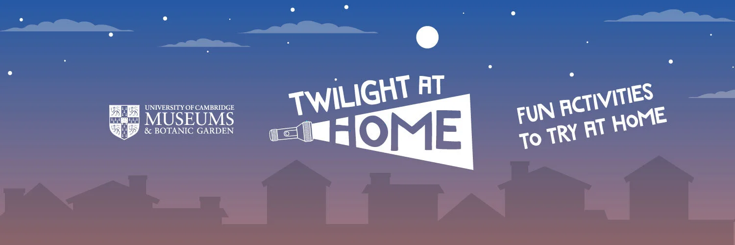 Twilight at Home