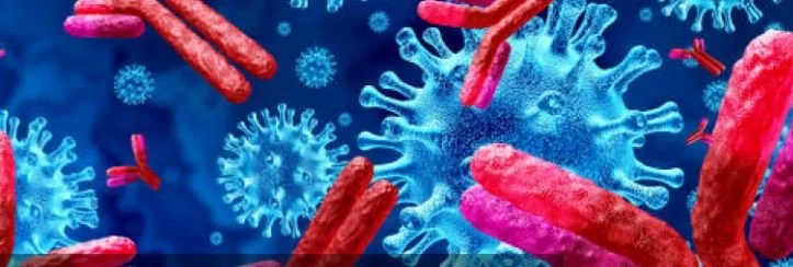 Pint of Science Artwork Display