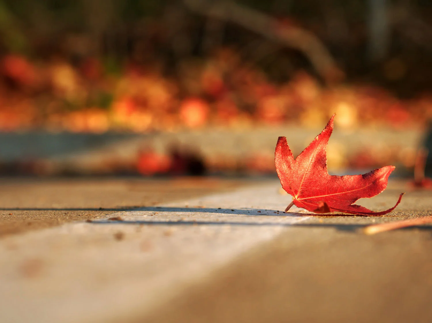 New season, new start