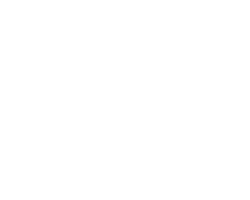 PROGRAM RECOMMENDATIONS.png