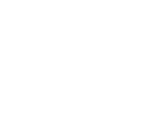 SECURE REVENUE PROCESSING.png