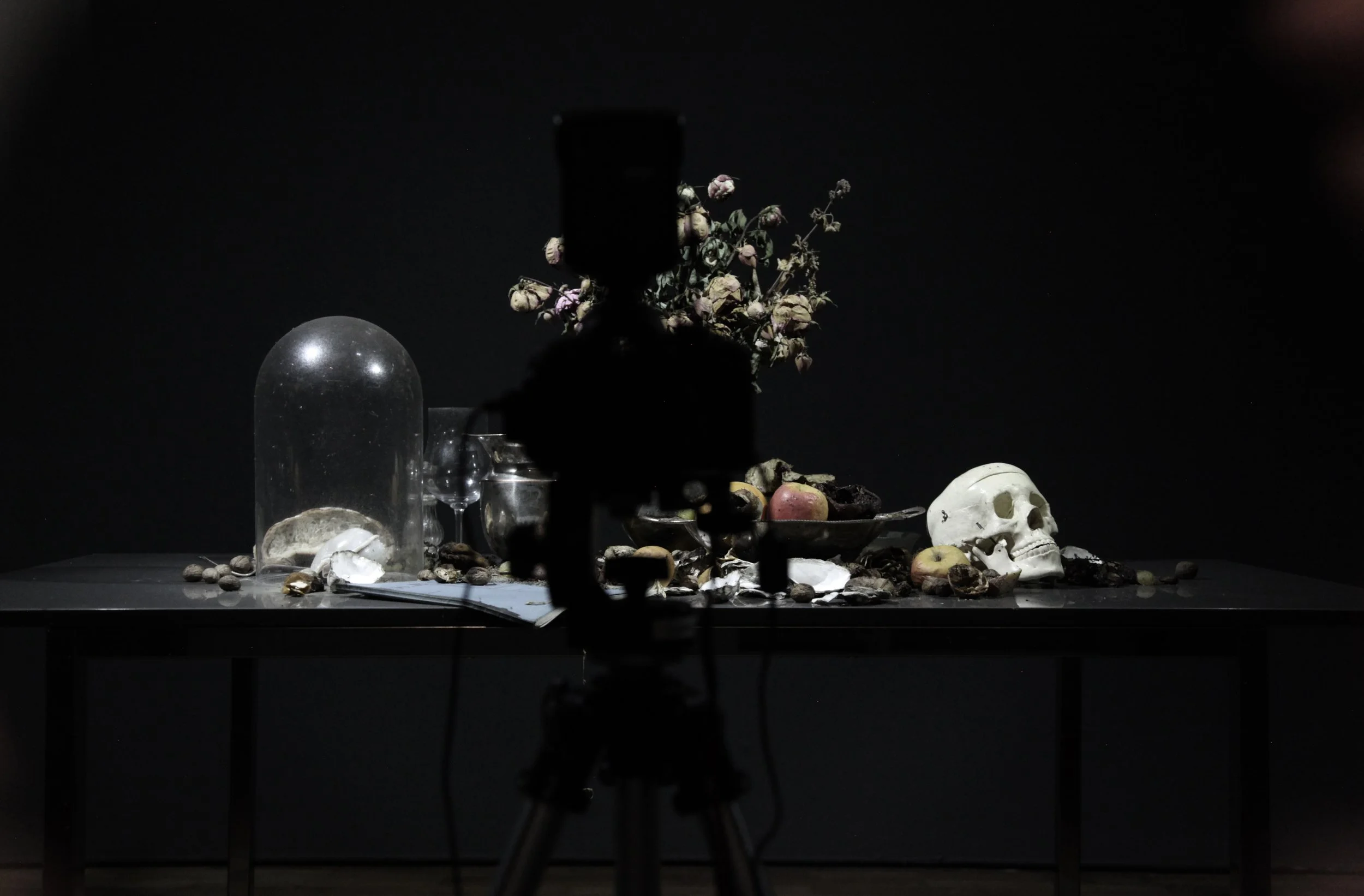 CASINO LUX_LTI_goldberg01_vue installation02.jpg