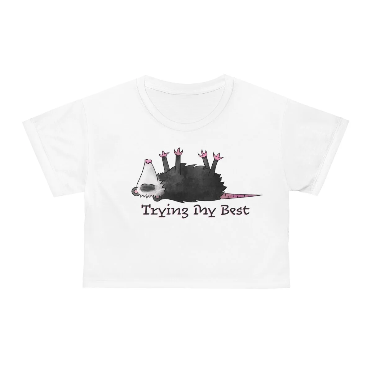 528ff5c22a57c80839a9cb722feb045f