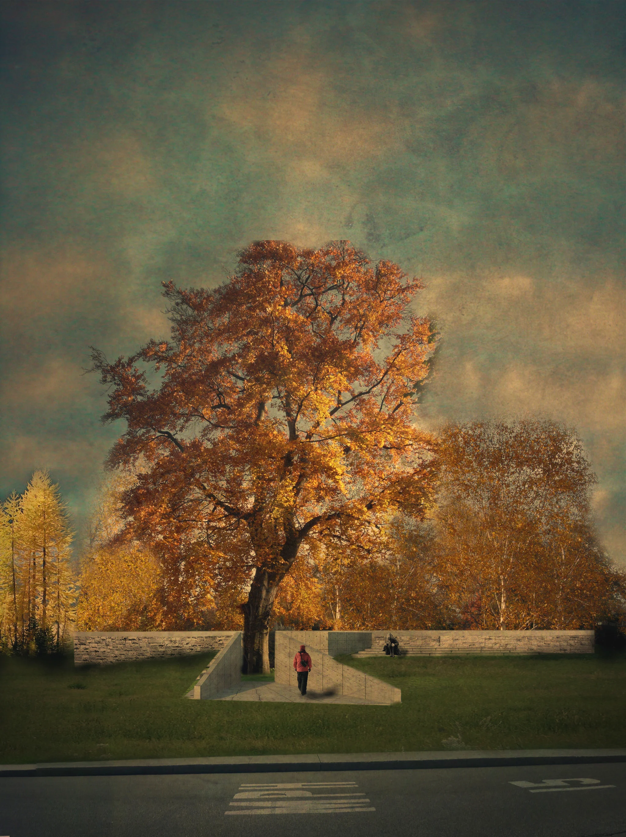 fall.jpg