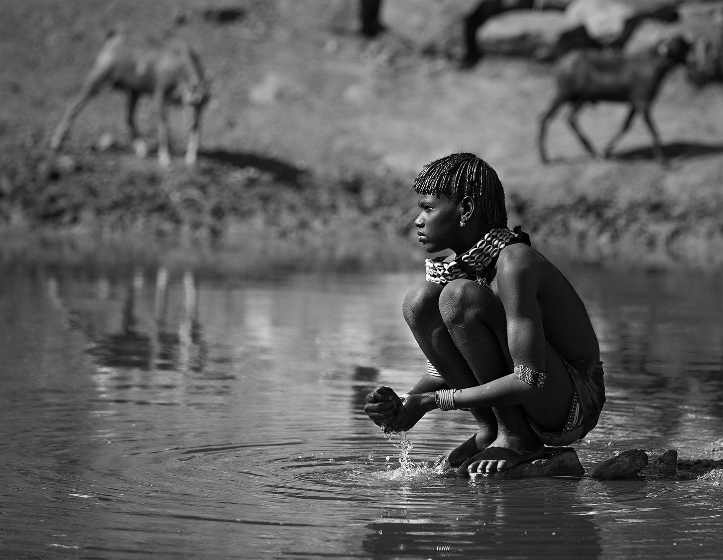 _E5A2203 B&W V5 fully sharpened layers cropped_higher contrast.jpg