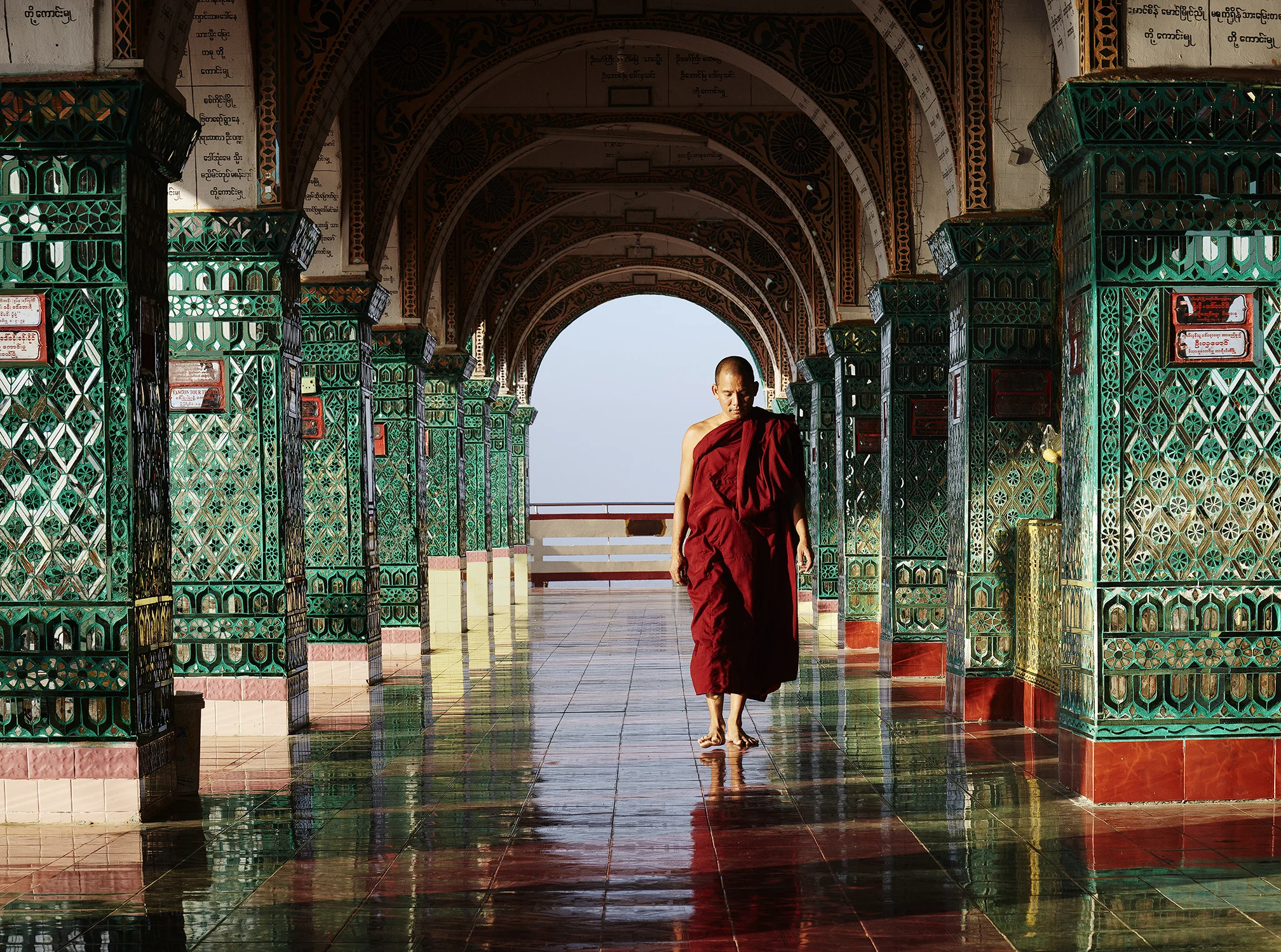 IMG_6854_pt standard_pt enlarged_fully sharpened.jpg