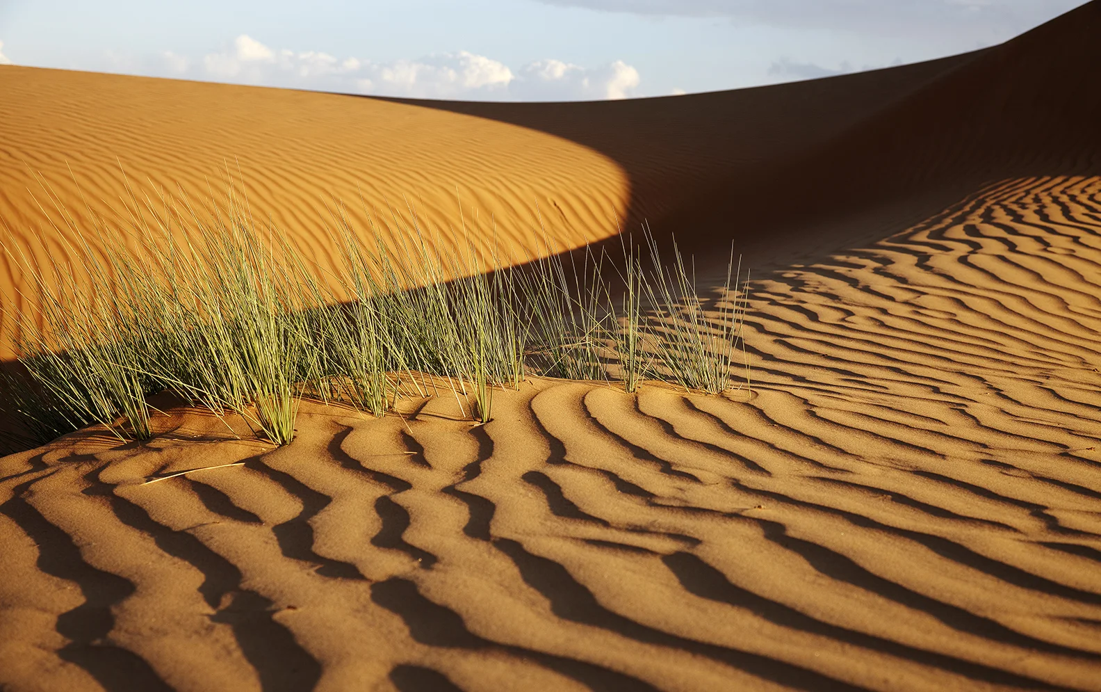 IMG_5024_shrunk for test printing.jpg