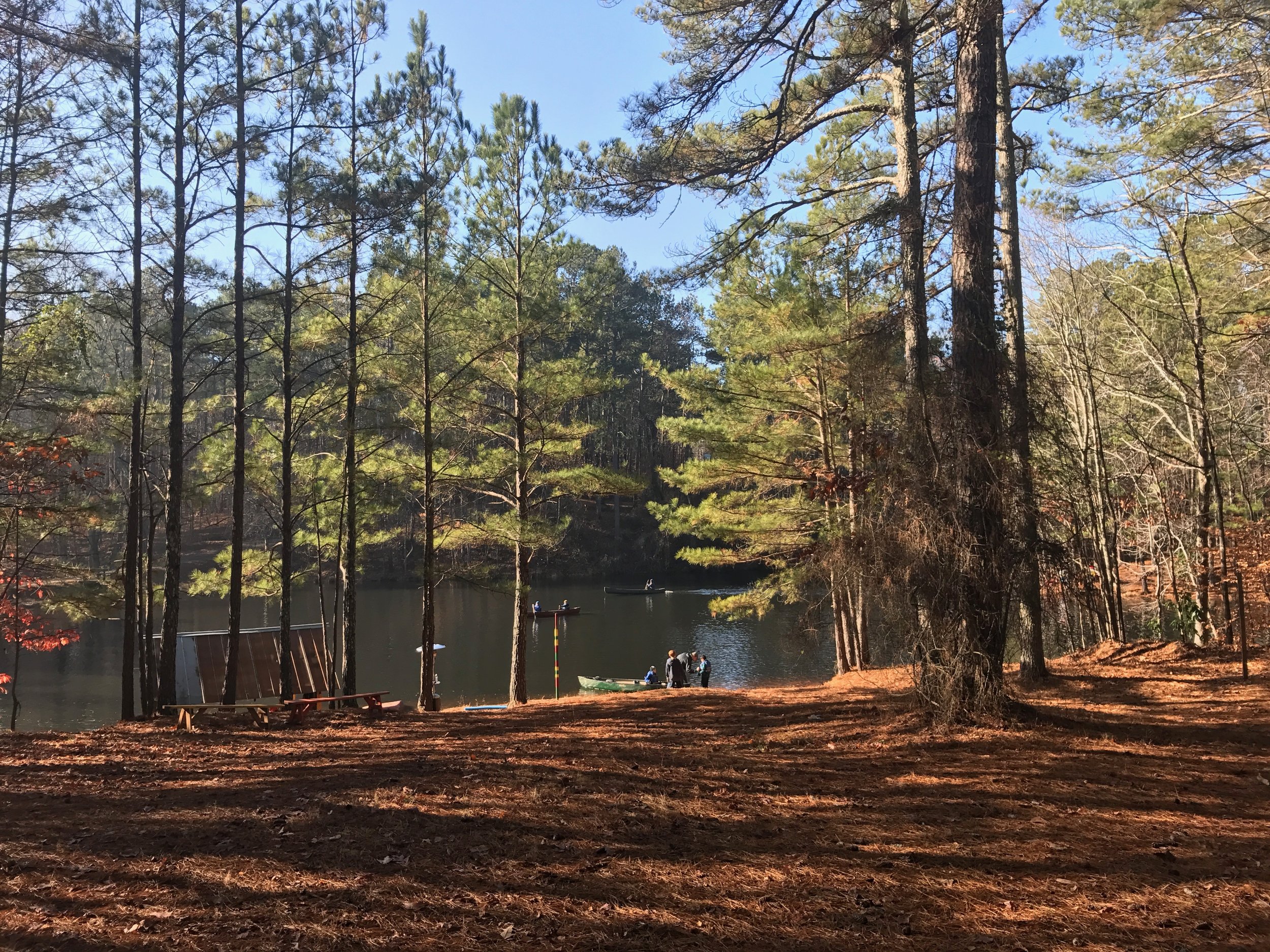 Georgia lake and woodland