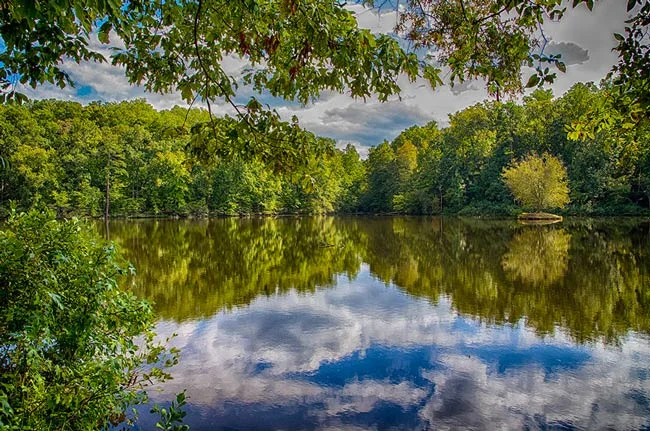 lake-haigler.jpg