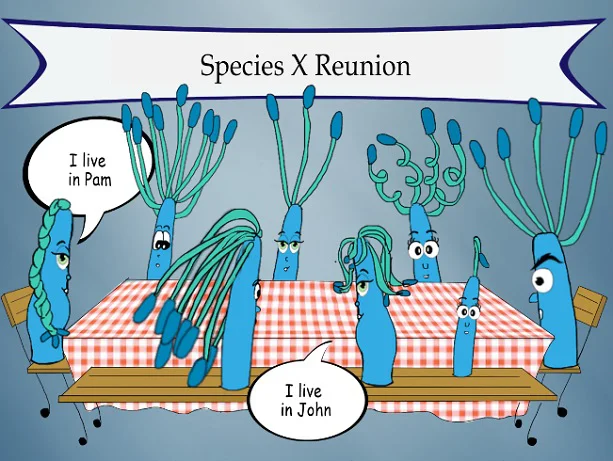 Gut microbiomes from different people can contain similar microbial species, but different strains, as this cartoon illustrates. Credit: Dana C. Thomas/University of Washington // medicalxpress.com