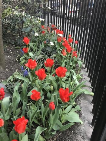 View through gates of Gramercy Park
