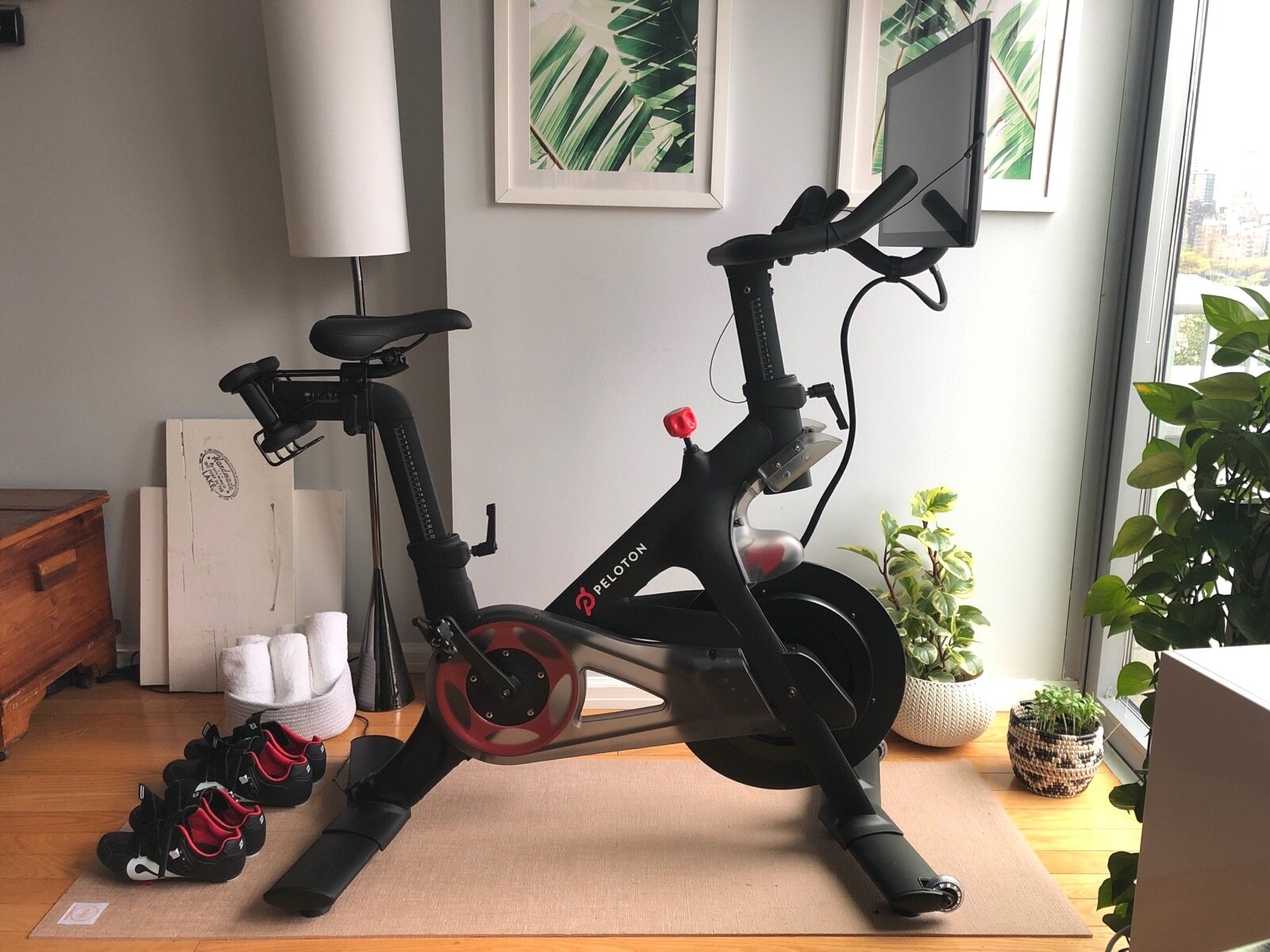 peloton bike in bedroom