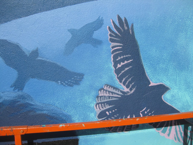 Hawks quickly attain great heights with little energy through riding pockets of air called "thermals". 