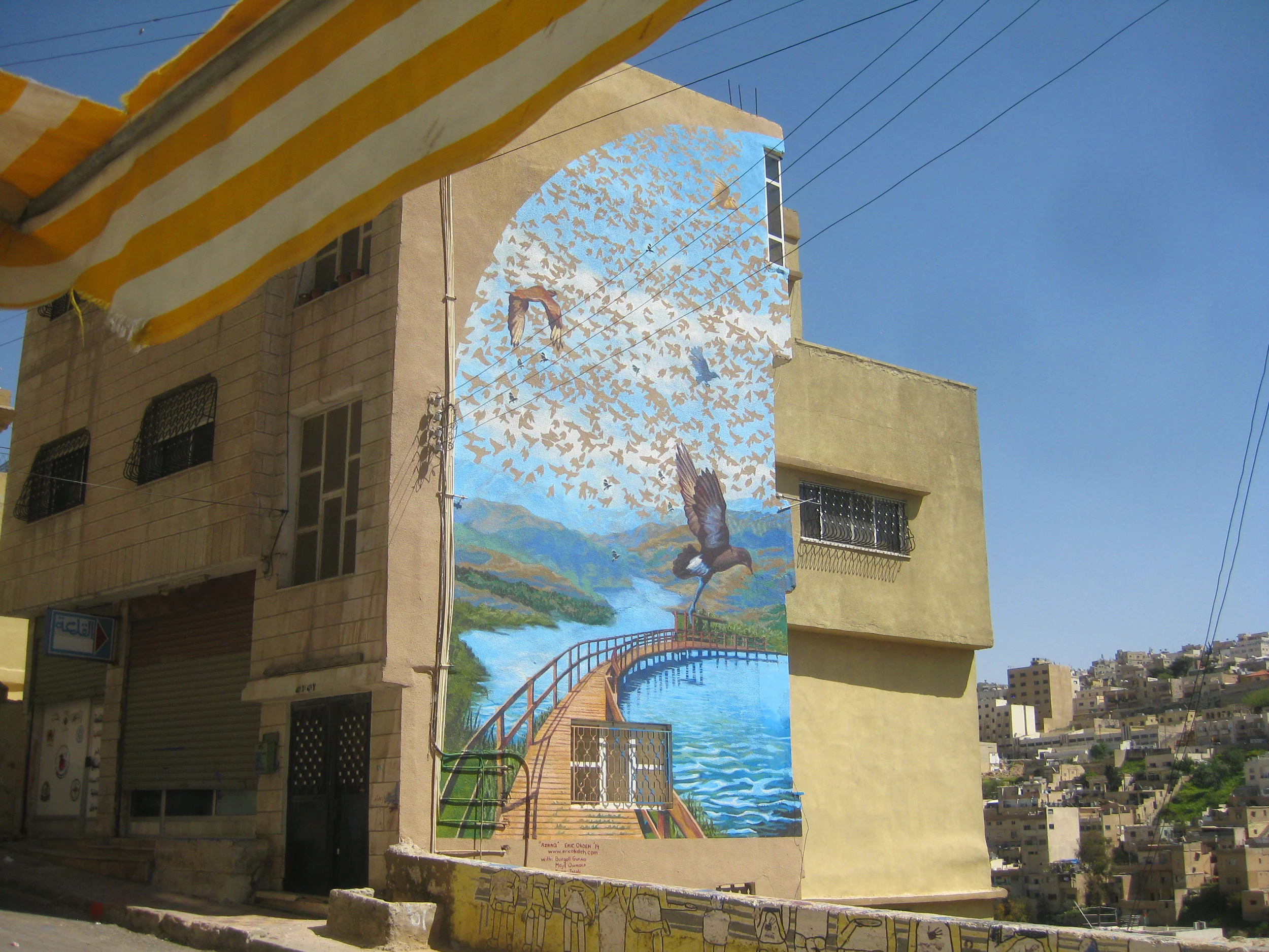  In Spring of 2014 I was invited to participate in a public art event in Amman, Jordan. I was one of 10 muralists from around the globe, we each painted a wall in downtown Amman with the help of close to 30 volunteers. The festival was held by Derbi 