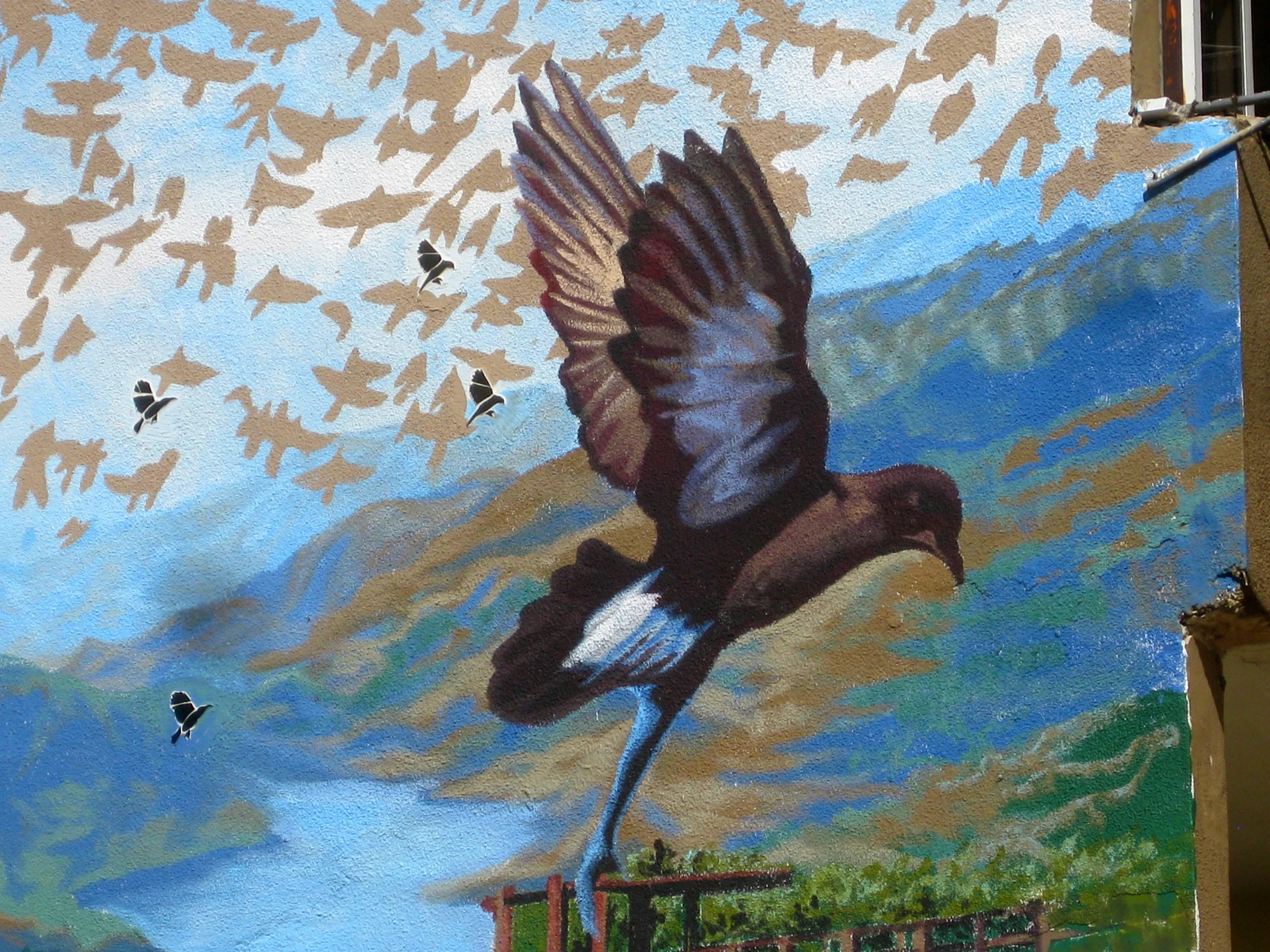  The mural features larger paintings and glass cutouts of national and migratory birds. A barn owl is prominently featured. There are partnerships between Jordan, Israel, and Palestine focused around the barn owl and other bird wildlife based in cons