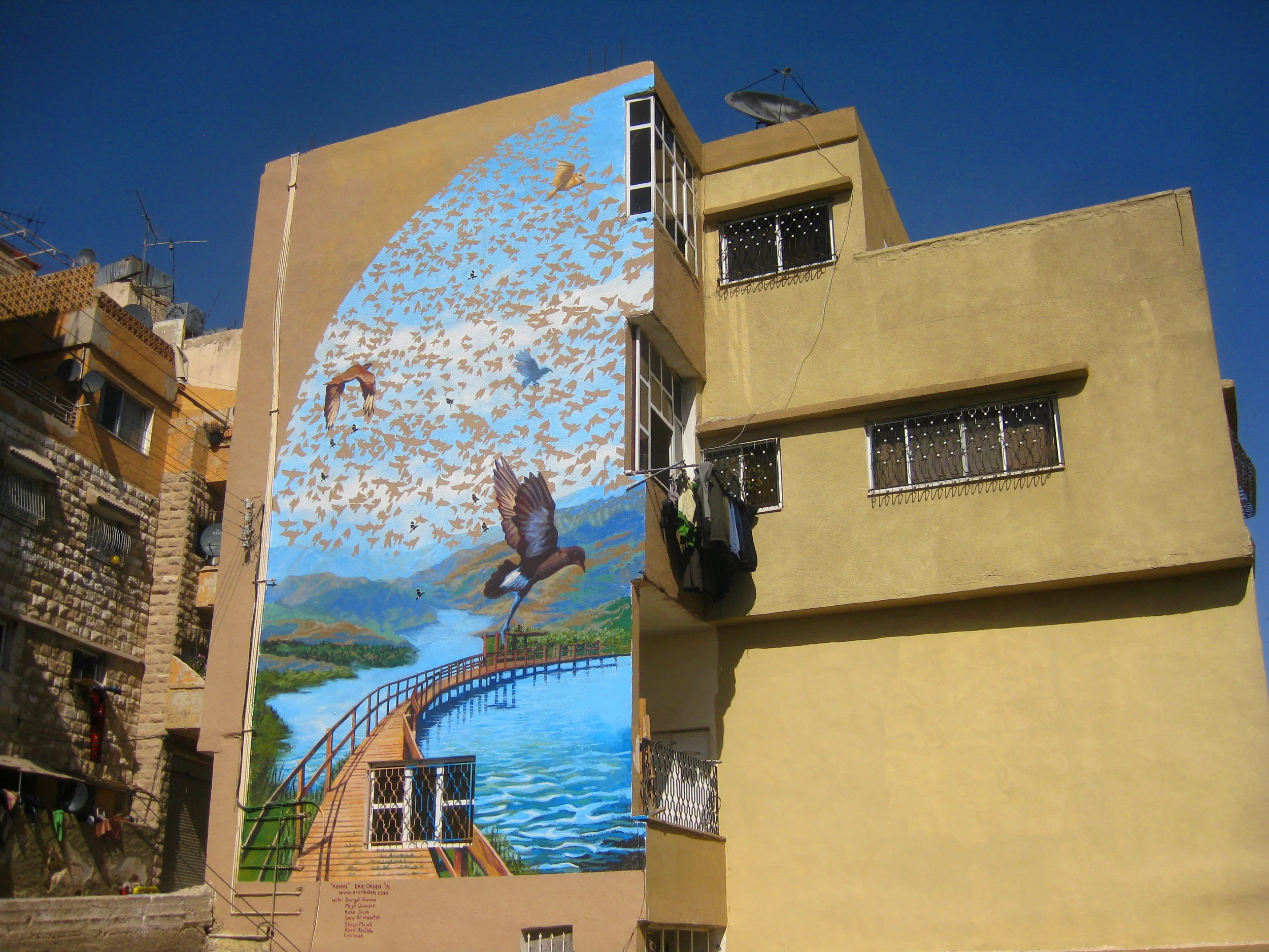 I compiled a landscape combining images elements of the Azraq reserve, and perforated the sky with a massive &nbsp;bird migration scene, one that, in the design, was reflected in the water to show its important role in this process. Due to time rest