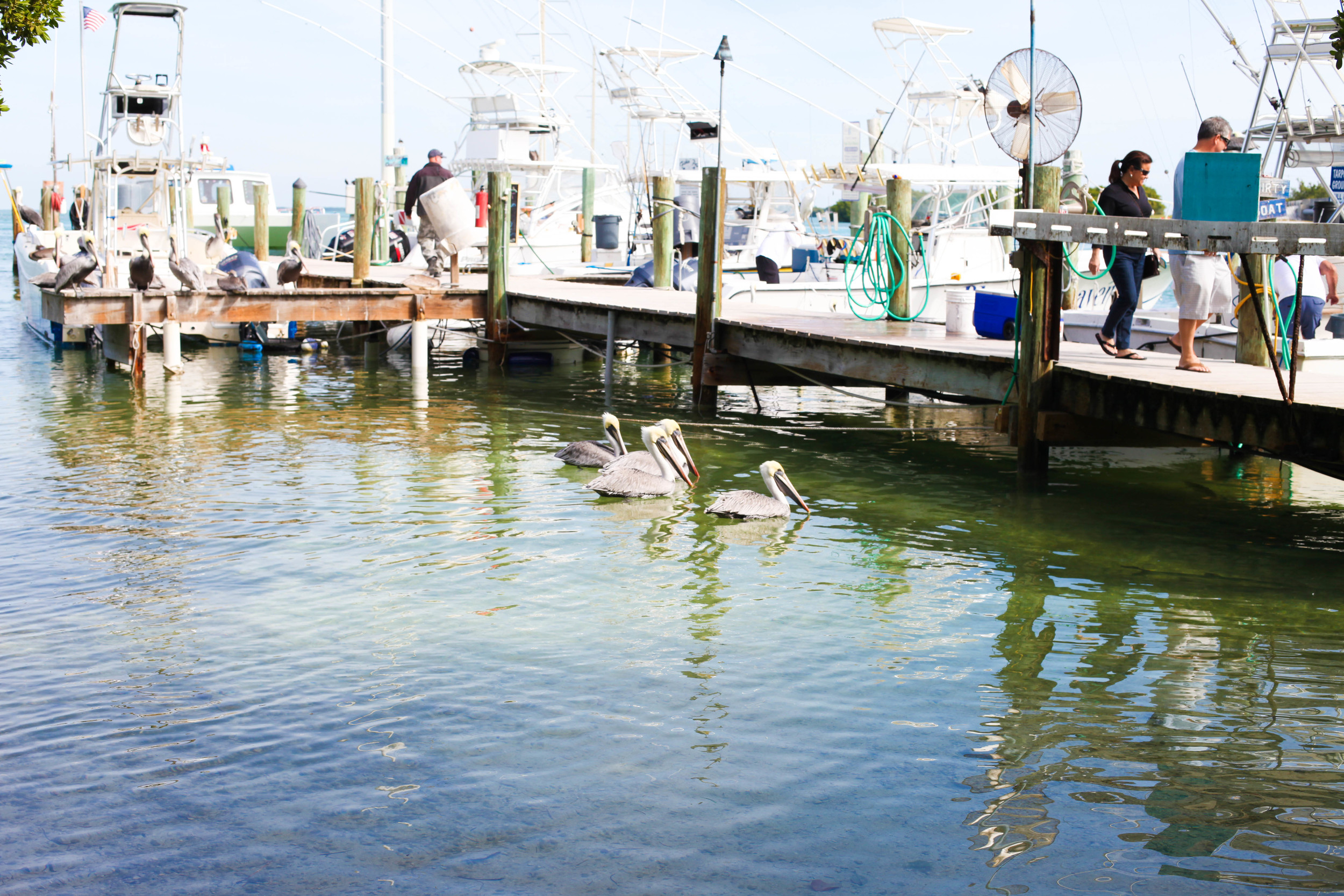 Florida Keys 2014-8.JPG
