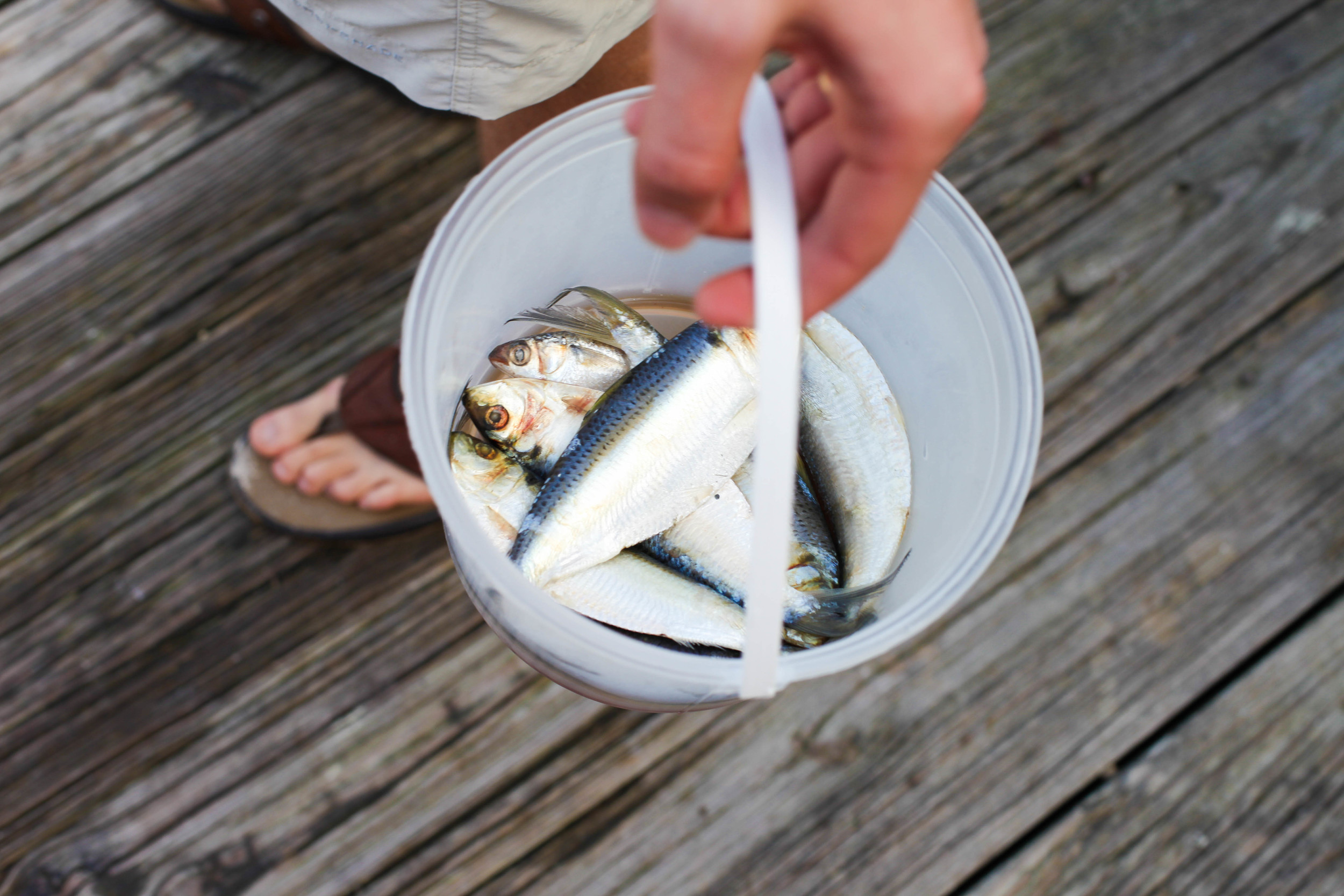 Florida Keys 2014-13.JPG