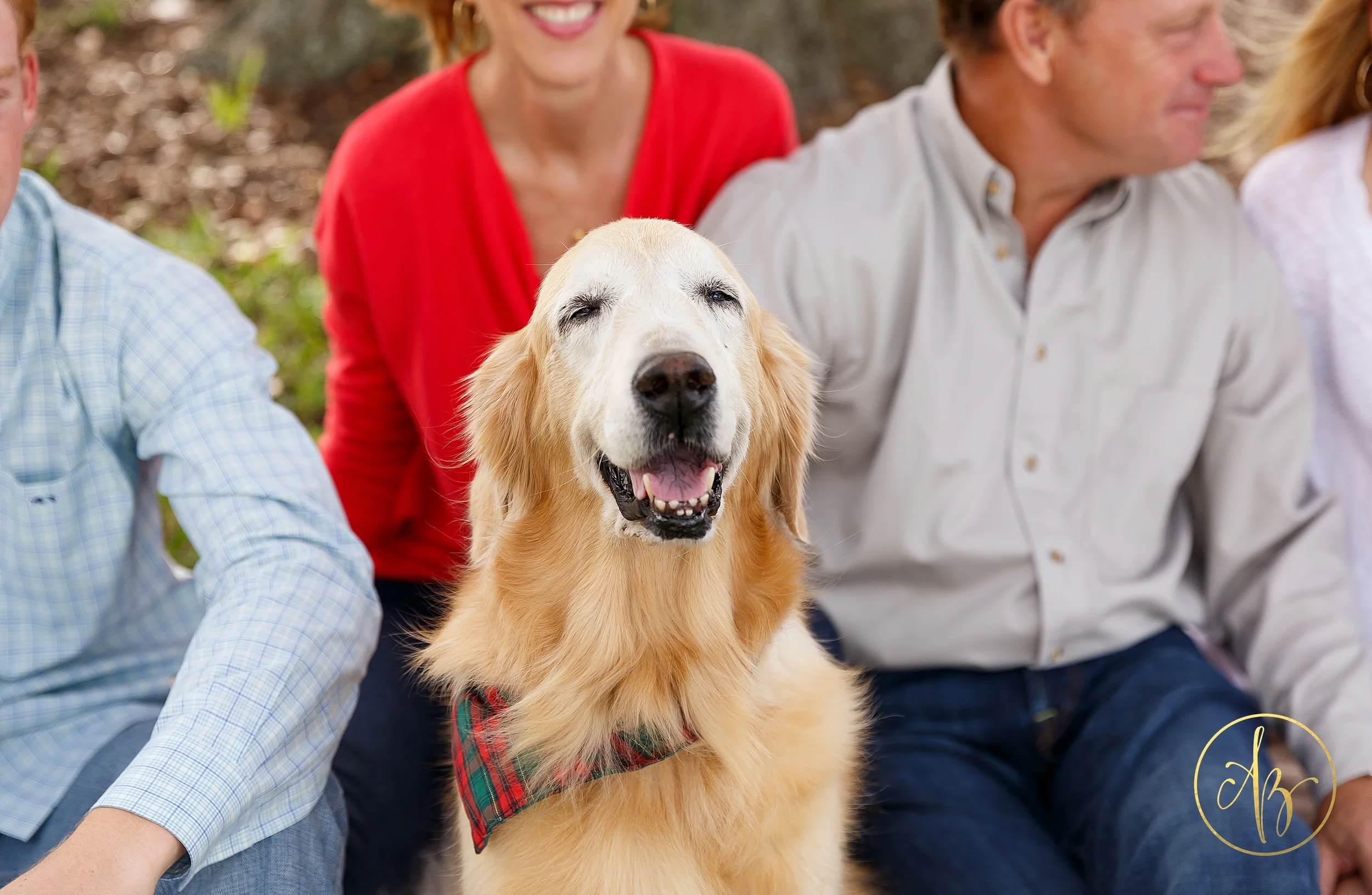 University of Tampa // The Shields Family