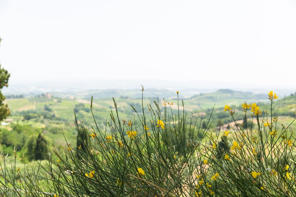 San Gimignano_0005.jpg