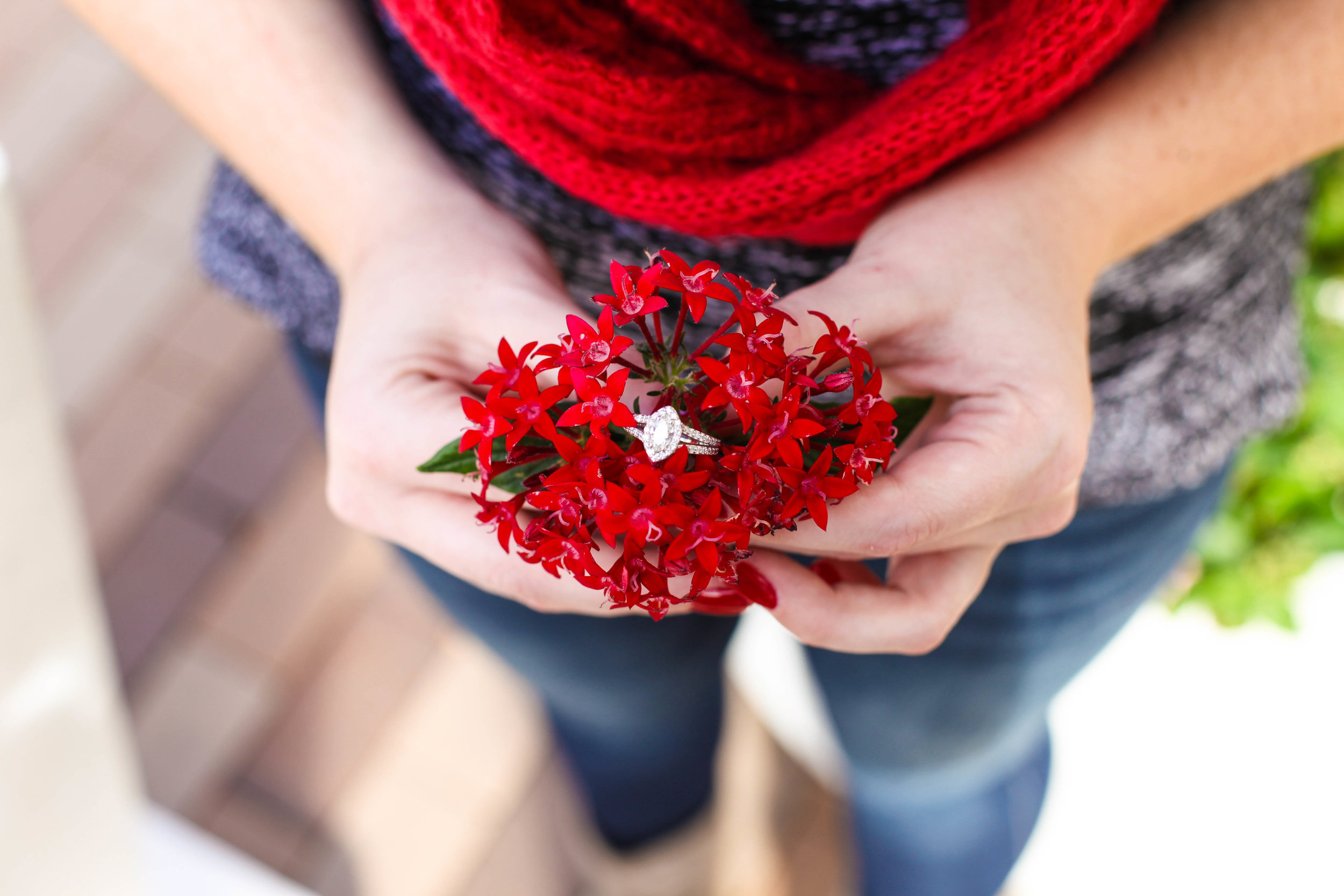 Hayden & Shannon Proposal-112.JPG