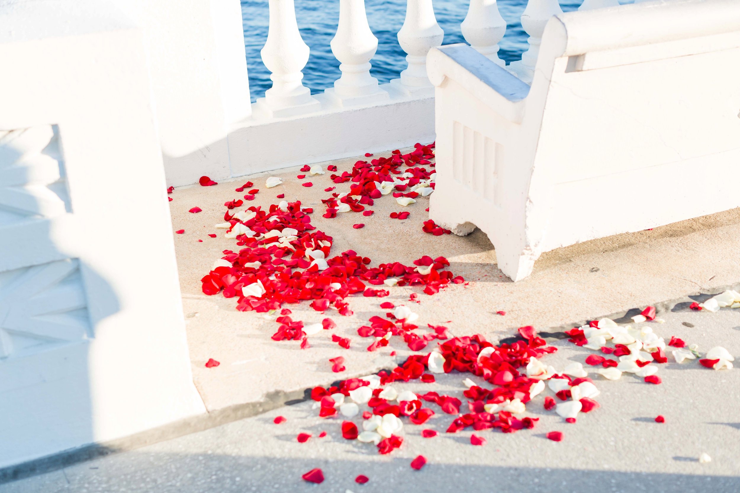Marshall and Hillary Proposal Blog_0024.jpg