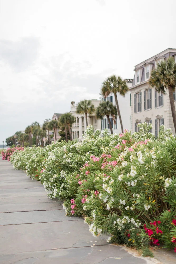 Nona Brown Web-126.jpg