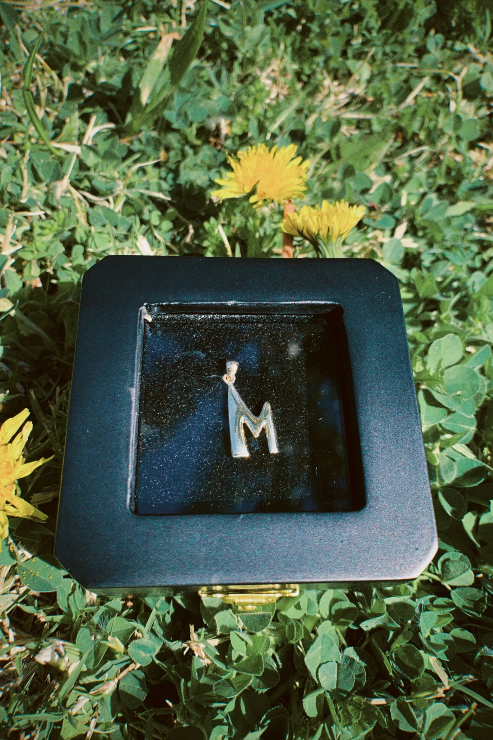 4E9088DC-B13C-40D5-A3FD-682AC9701FD0