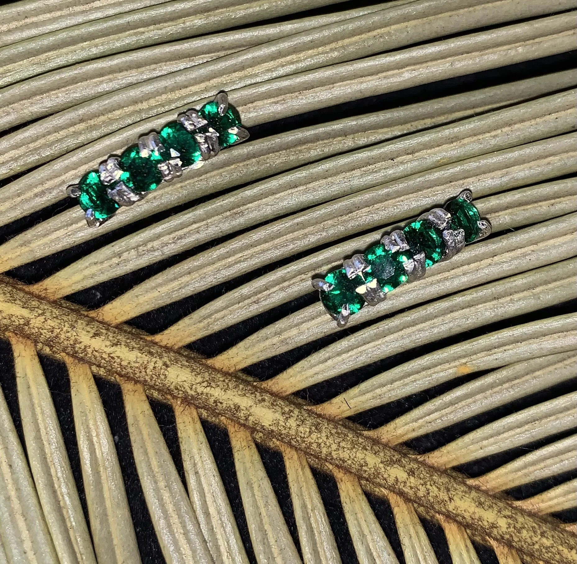 16422BCA-C0EB-43EB-AE70-290358E881EC