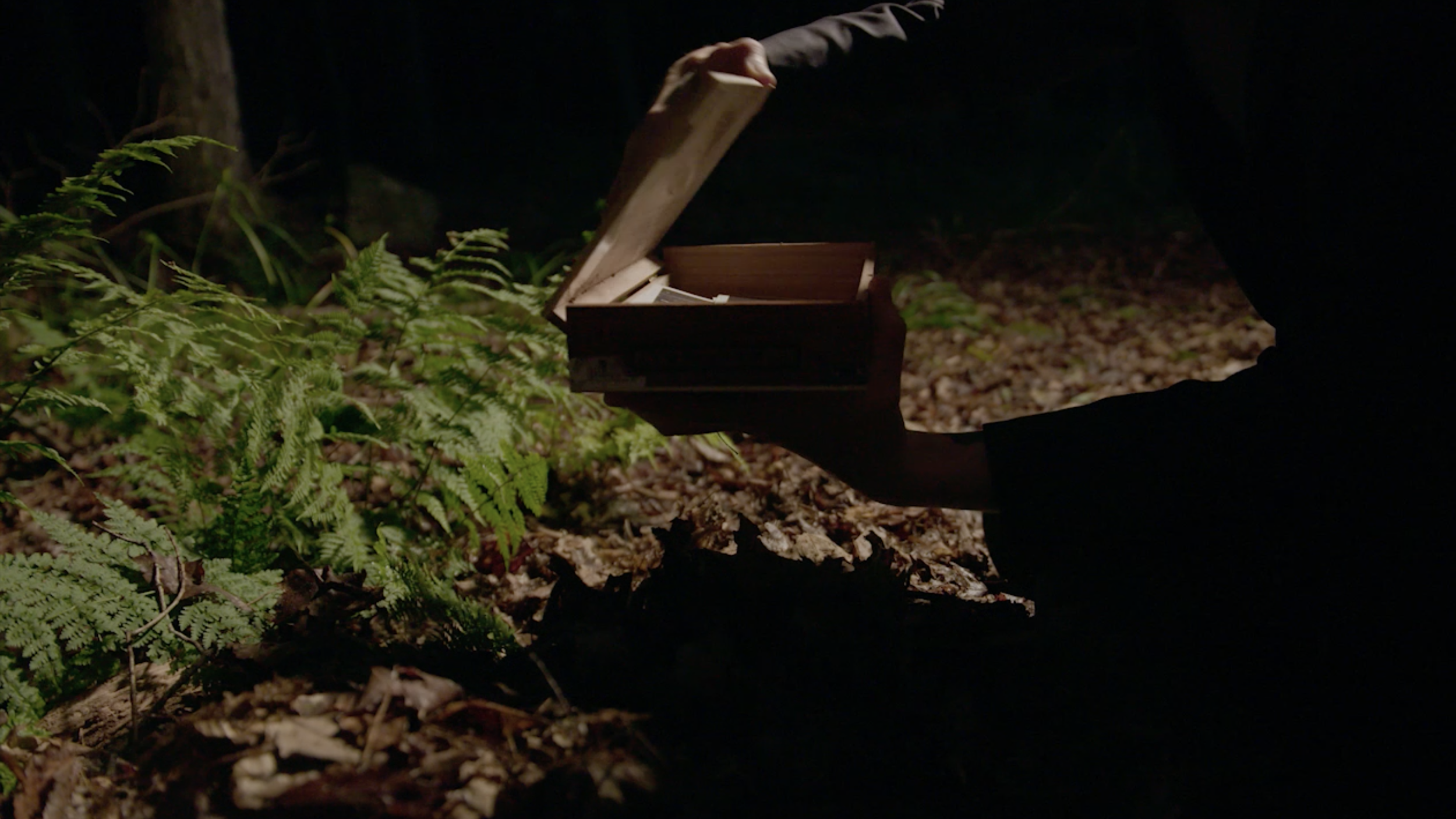 Screen Shot 2019-09-16 at 11.08.14 AM.png