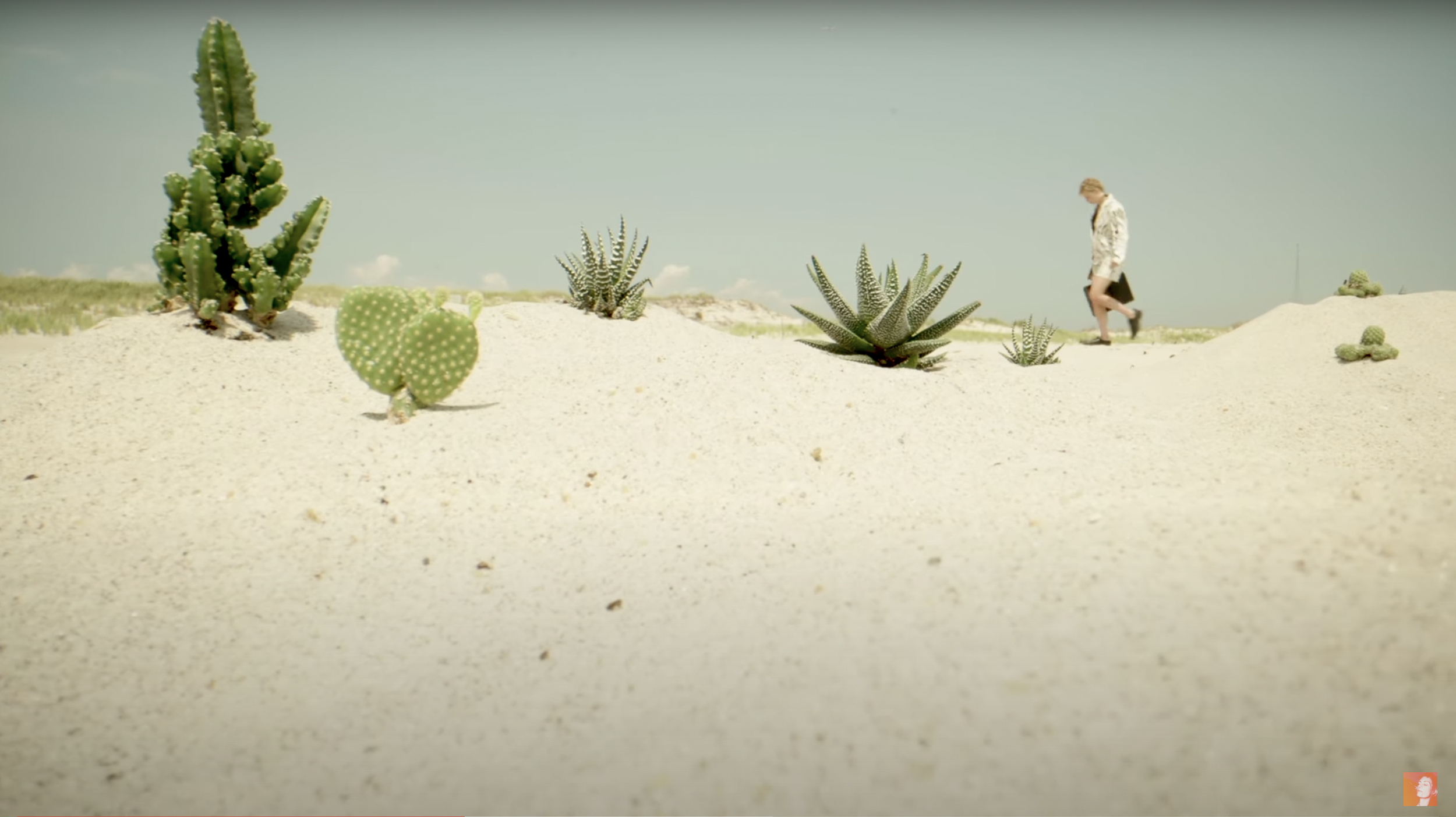 Screen Shot 2023-05-11 at 9.51.18 AM.png