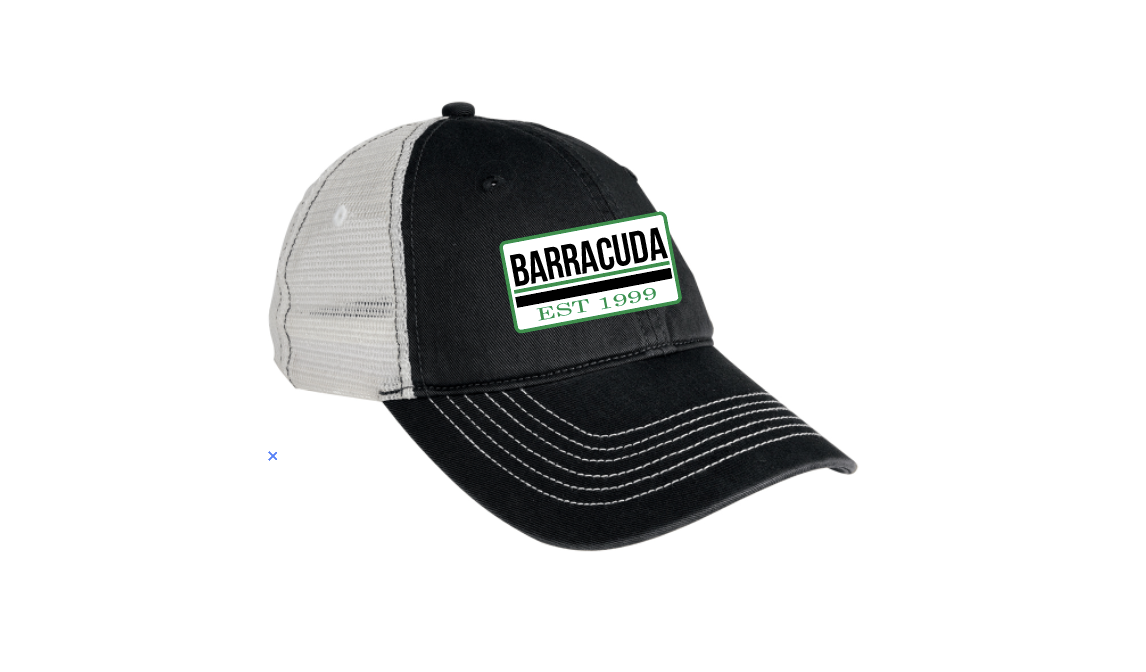 Screen Shot 2021-04-19 at 8.30.17 PM.png