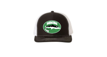 Screen Shot 2021-04-20 at 10.29.42 AM.png