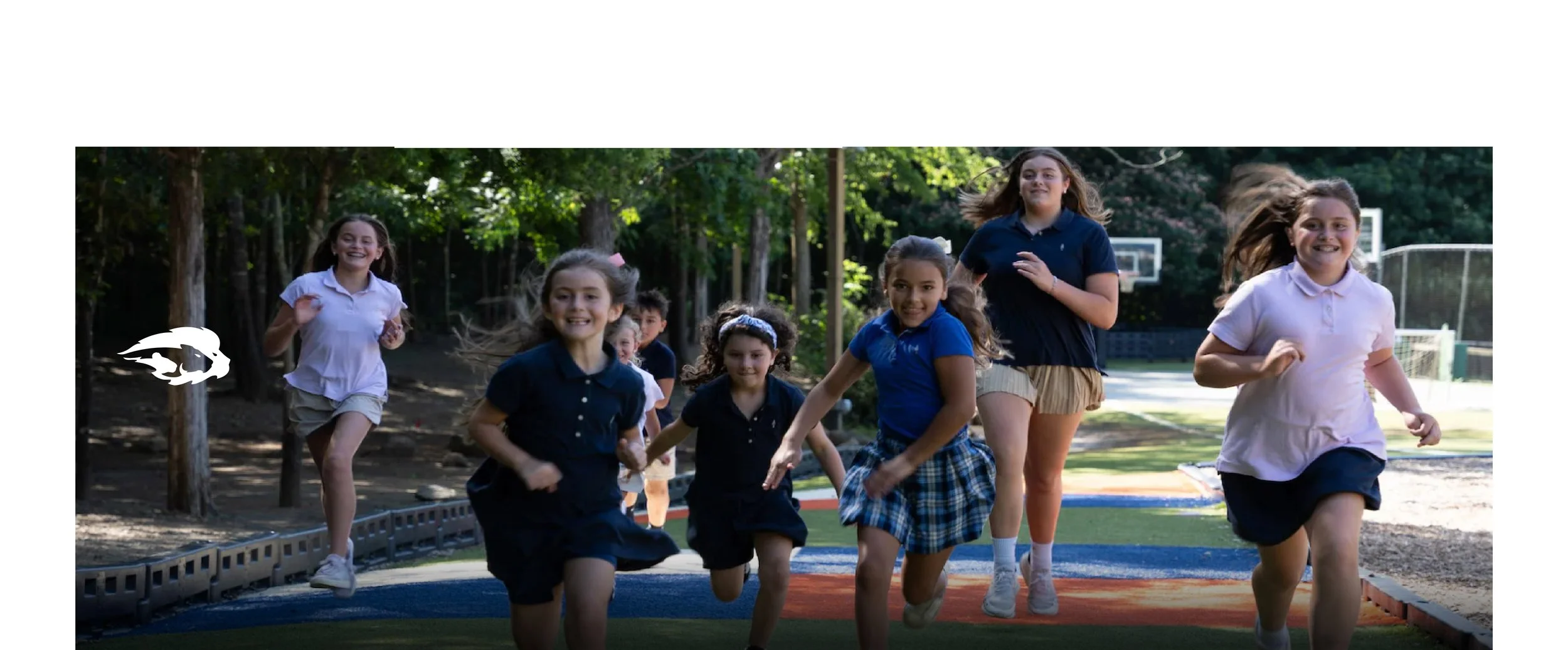 banner 5.jpg