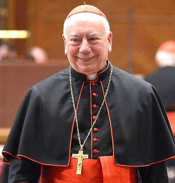 Cardinal Francesco Coccopalmerio