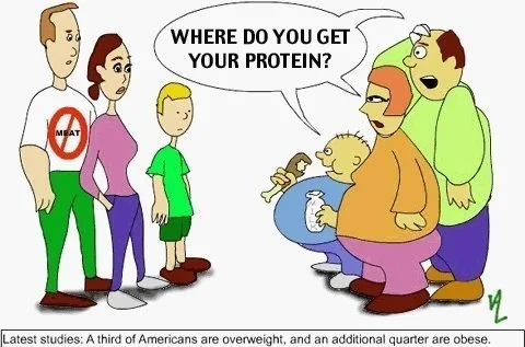 Protein.jpg
