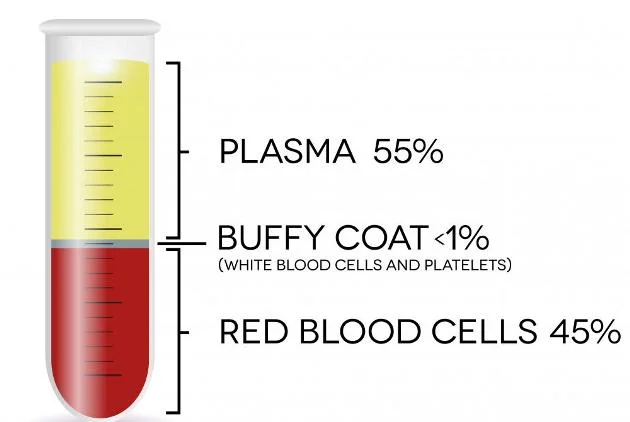 ERYTHROCYTE-SEDIMENTATION-RATE-ESR-3.jpg